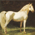 sognare cavallo bianco