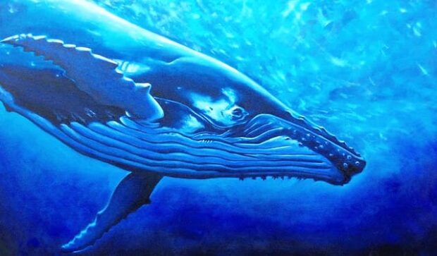 balena megattera che nuota nel mare blu