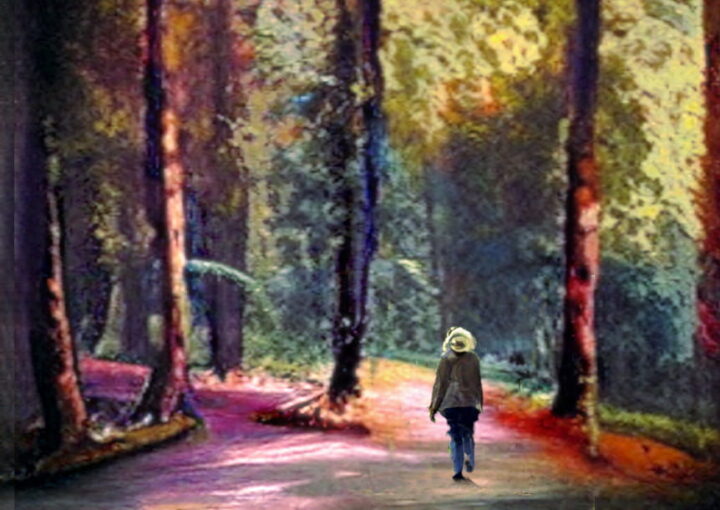 sognare di camminare nel bosco